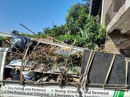 Best Commercial Junk Removal  in St Ansgar, IA